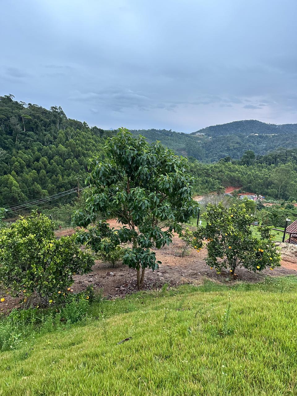 Imagem 5 da propriedade